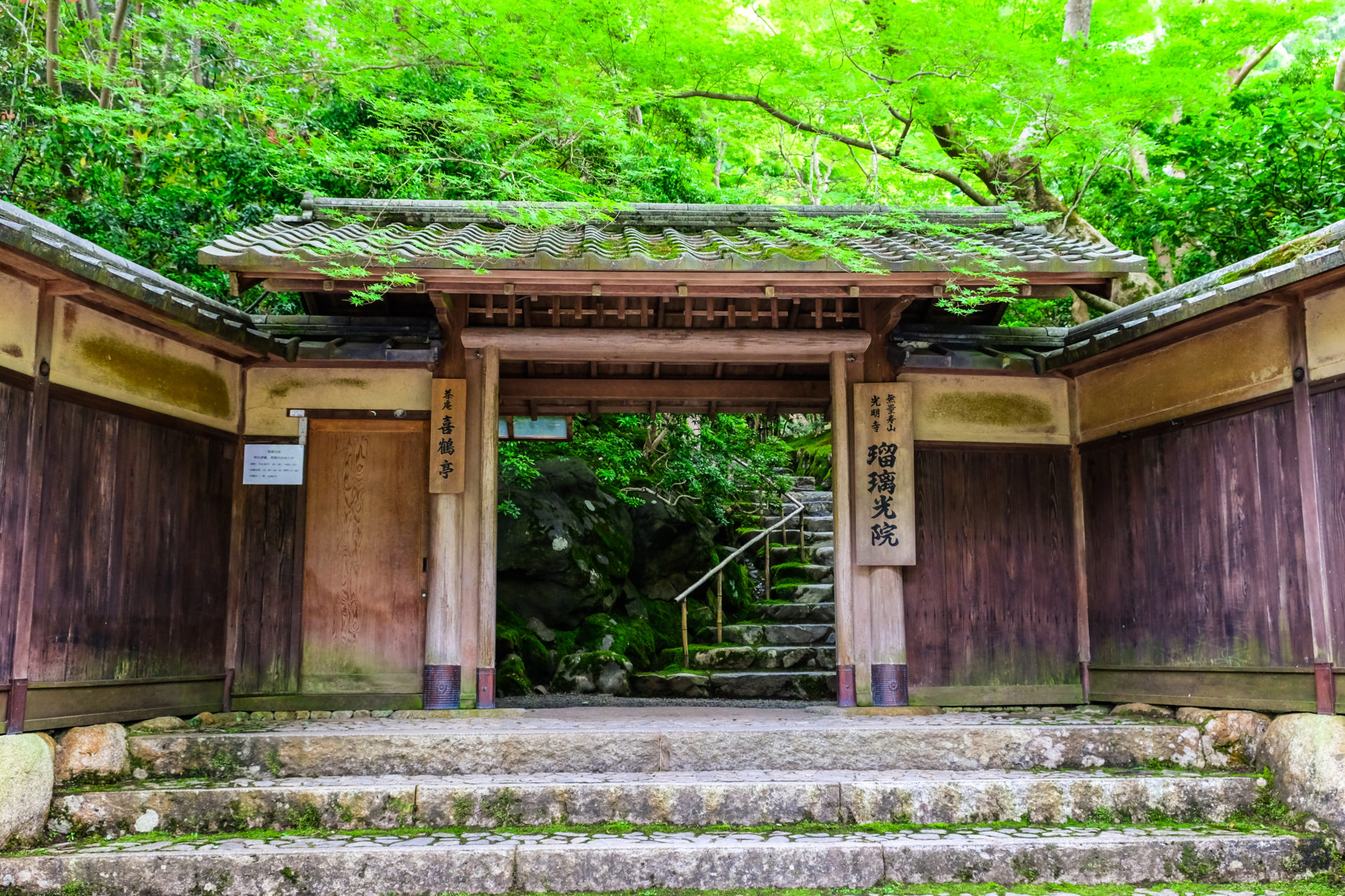 京都　瑠璃光院　青紅葉